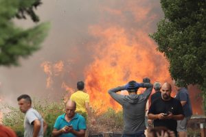 Velik požar u Španiji: Evakuisano 1.500 stanovnika