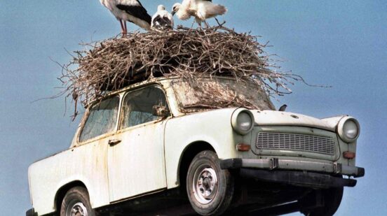 Trabant as stork's nest