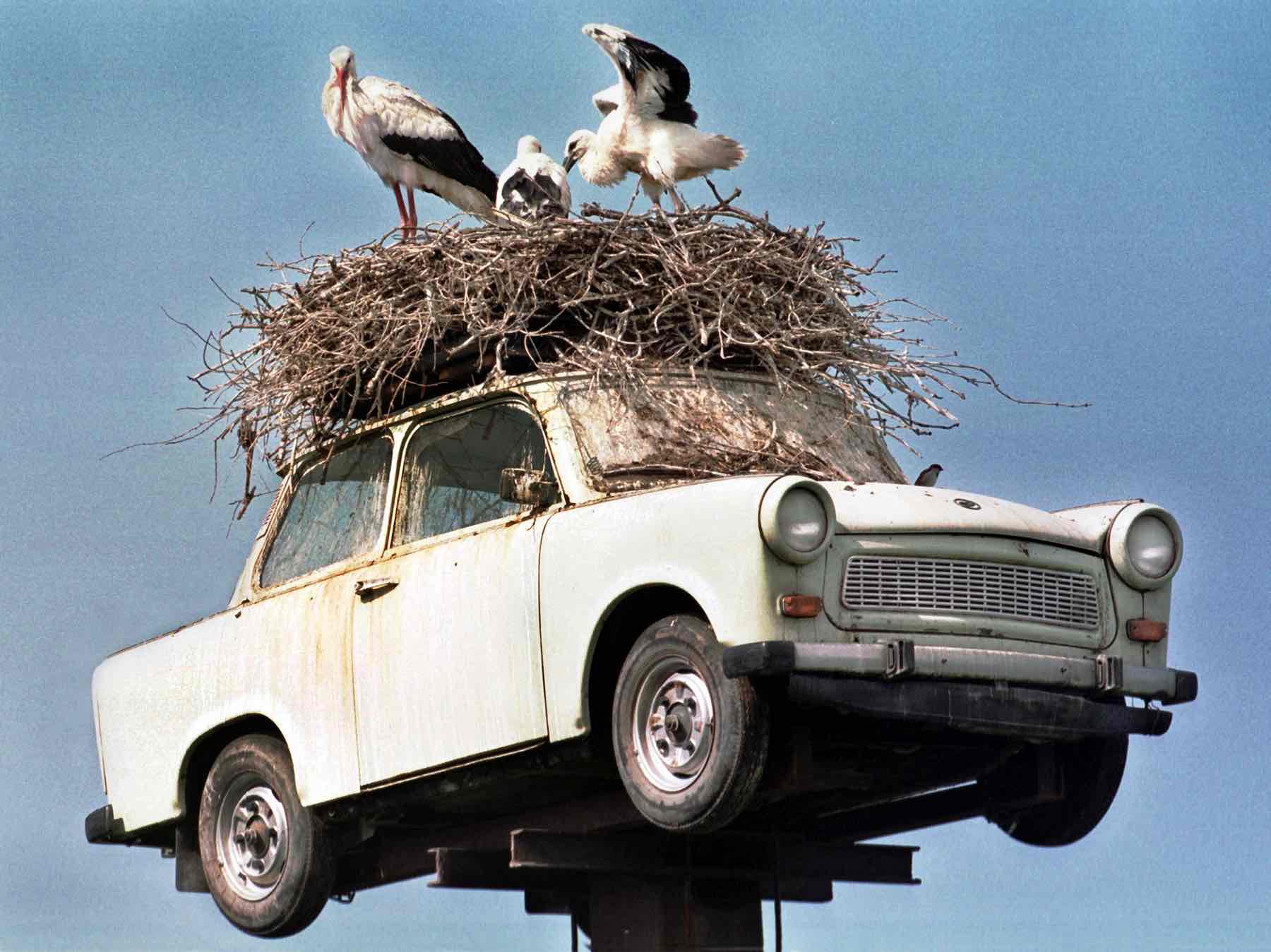Trabant as stork's nest