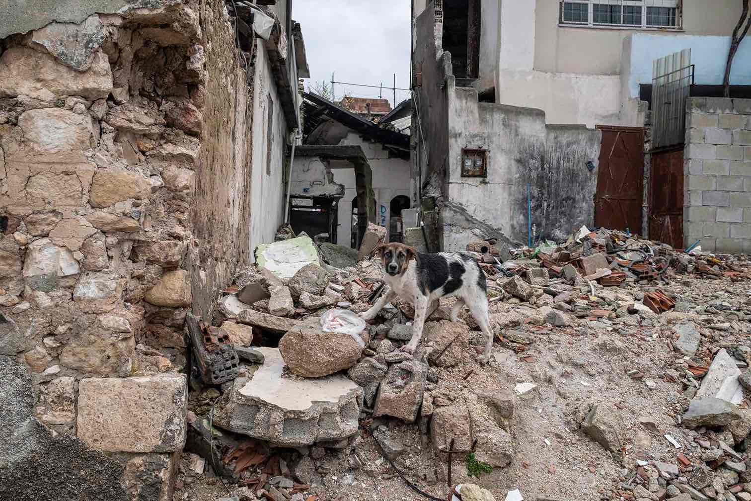Posledice zemljotresa u Turskoj