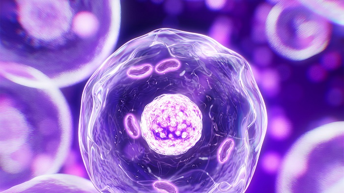 Zaboravite klasične kreme: Vašu beauty rutinu sada kreira veštačka inteligencija