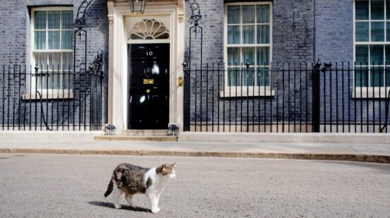 Chief Mouser to the Cabinet Office Larry the cat in Downing Street, London, ahead of Labour leader Andy Burnham being confirmed as the new Prime Minister later on Monday. Picture date: Monday July 20, 2026.,Image: 1117535240, License: Rights-managed, Restrictions: , Model Release: no , Credit line: Ben Birchall / PA Images / Profimedia
